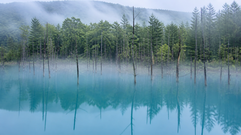 北海道で写真に残したい絶景スポット8選｜青い池・運河・朝夕の風景