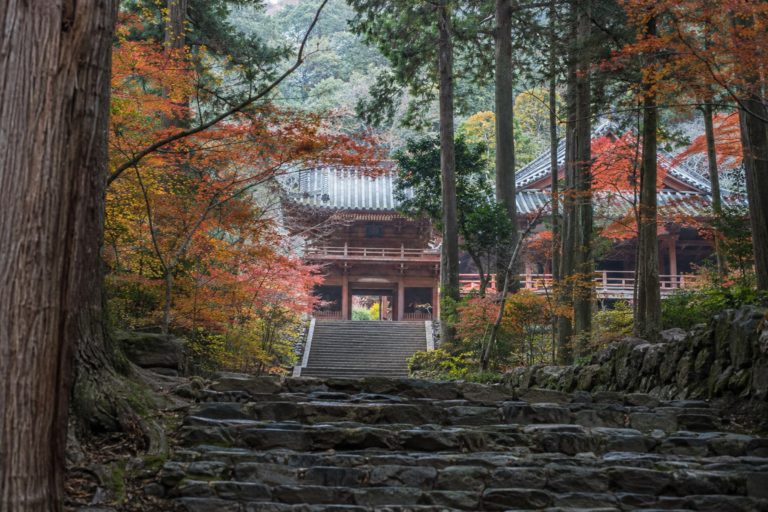 神護寺の紅葉｜高雄の石段と空海ゆかりの山寺