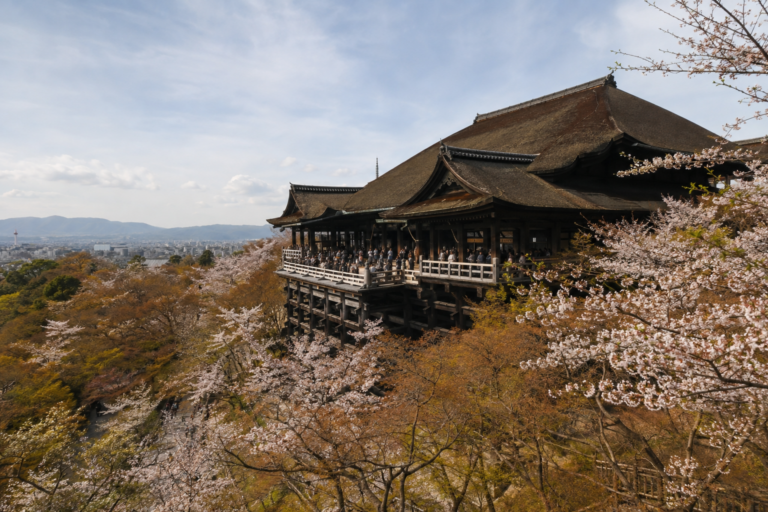 清水寺の桜｜舞台を包む花と東山の信仰景観