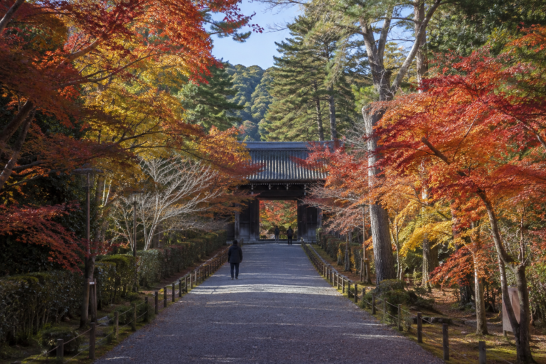 二尊院の紅葉｜紅葉の馬場と二如来の教え