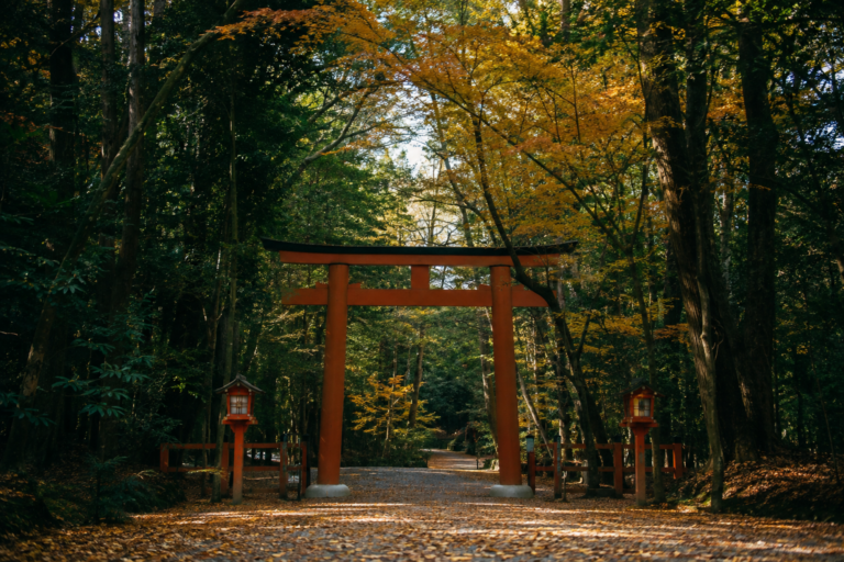 下鴨神社・糺の森の紅葉｜遅い秋と賀茂の祭祀