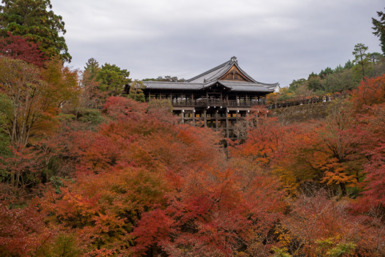 東福寺の紅葉｜通天橋と禅寺の渓谷を歩く