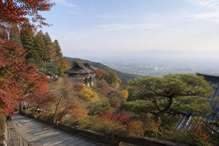 善峯寺の紅葉｜西山の巡礼路と京都盆地の眺望